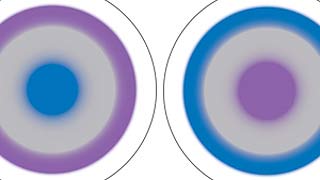 optomized biofinity contact lenses